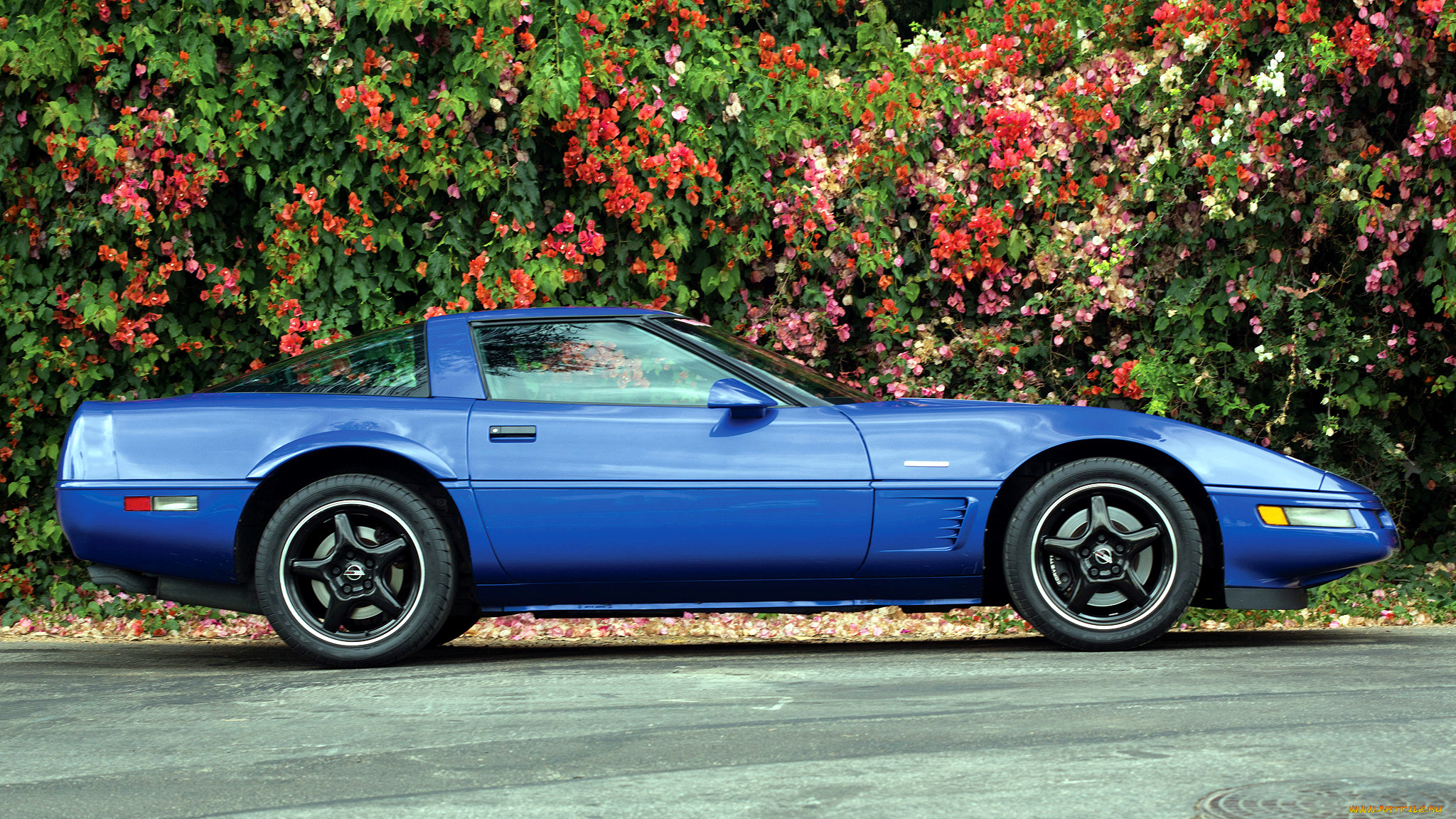 corvette, , gm, chevrolet, division, 